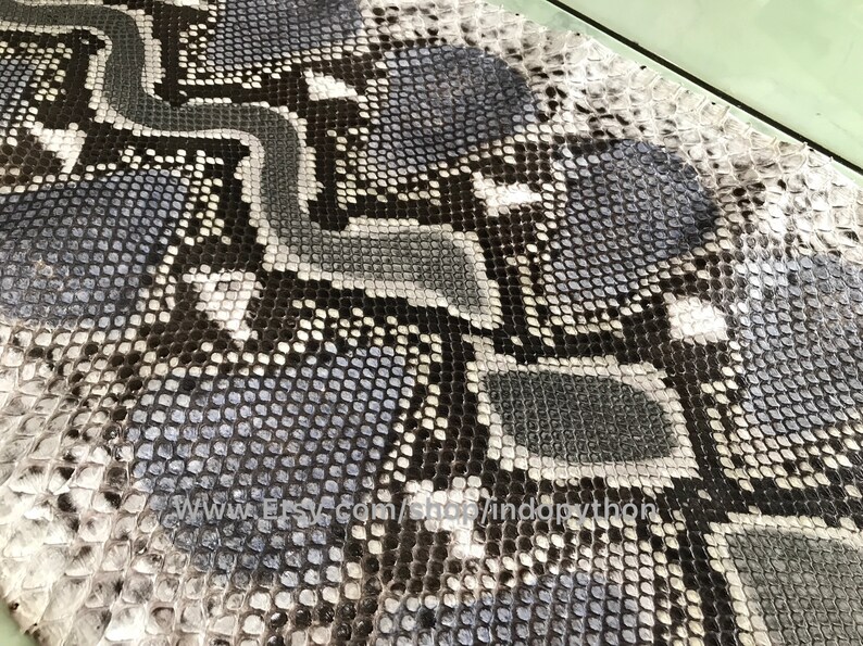May include: Close-up of a black and white python skin with a diamond pattern. The skin has a textured surface and a glossy finish.