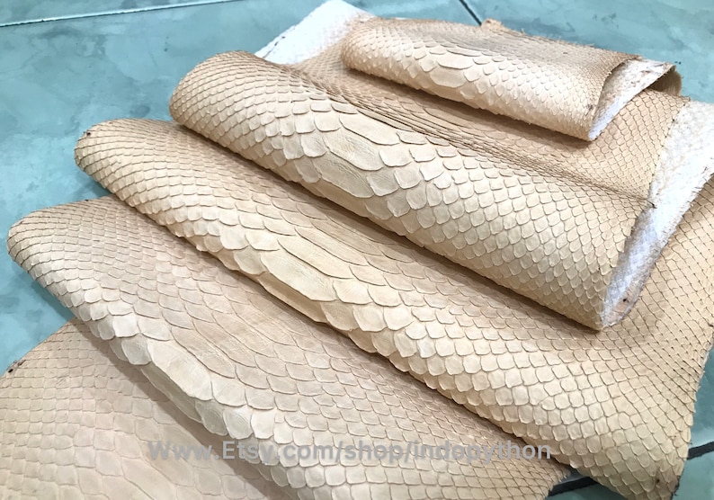 Puede incluir: Primer plano de varias piezas de piel de pit&oacute;n beige, que muestran el patr&oacute;n de escamas y la textura natural. Las pieles est&aacute;n dispuestas en capas superpuestas, lo que resalta su flexibilidad y apariencia &uacute;nica. La imagen captura los detalles de la piel del reptil.
