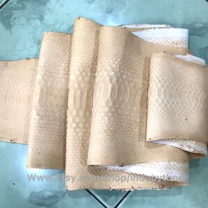 Puede incluir: Una colecci&oacute;n de pieles de pit&oacute;n beige y blanquecinas, con un patr&oacute;n texturizado en forma de escamas. Las pieles est&aacute;n dispuestas en una configuraci&oacute;n en capas y enrolladas, mostrando las marcas naturales y las variaciones de color. La imagen captura la textura y el patr&oacute;n &uacute;nicos de la materia prima.