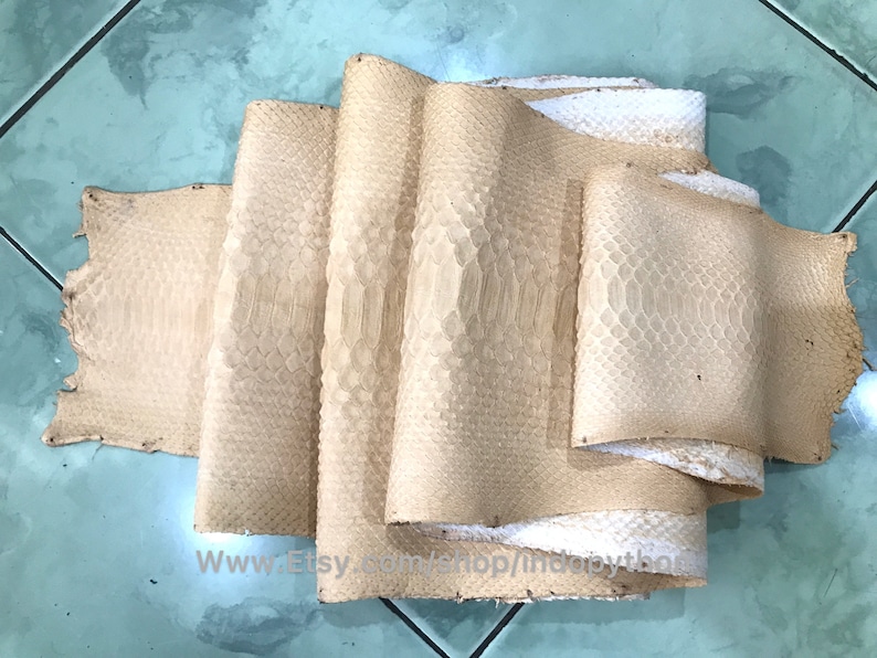 Puede incluir: Una colecci&oacute;n de pieles de pit&oacute;n beige y blanquecinas, con un patr&oacute;n texturizado en forma de escamas. Las pieles est&aacute;n dispuestas en una configuraci&oacute;n en capas y enrolladas, mostrando las marcas naturales y las variaciones de color. La imagen captura la textura y el patr&oacute;n &uacute;nicos de la materia prima.