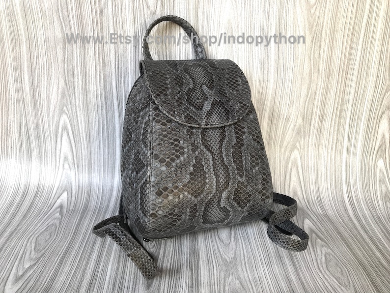 K&ouml;nnte beinhalten: Ein kleiner grauer Schlangenleder-Rucksack mit einem oberen Griff und verstellbaren Tr&auml;gern. Der Rucksack hat einen Klappenverschluss mit einer Schnalle.
