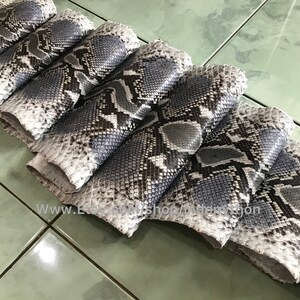 May include: A close-up of several pieces of gray and white python skin. The skin has a textured pattern and is arranged in a row.