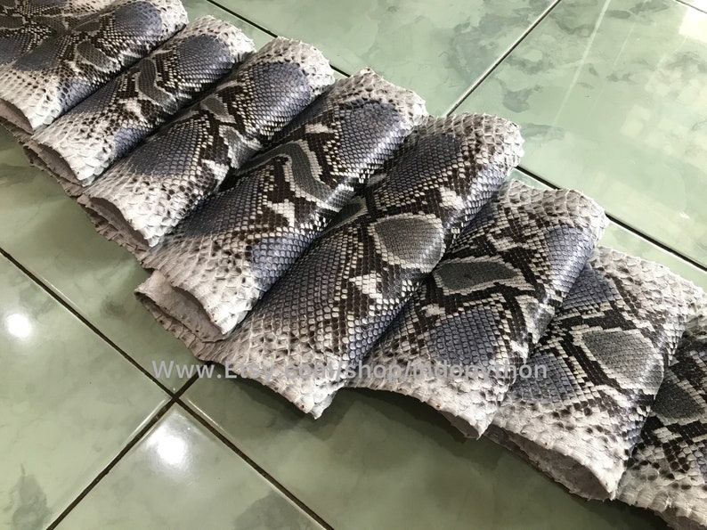 May include: A close-up of several pieces of gray and white python skin. The skin has a textured pattern and is arranged in a row.