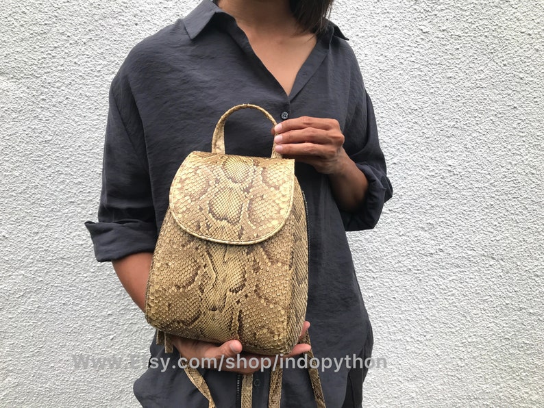 Puede incluir: Una peque&ntilde;a mochila de piel de serpiente marr&oacute;n claro con cierre de solapa y asa superior. La mochila tiene un patr&oacute;n de piel de serpiente texturizado y est&aacute; hecha de cuero genuino.