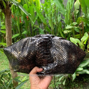 K&ouml;nnte beinhalten: Eine schwarze und goldene Python-Haut mit einem strukturierten Muster. Die Haut wird in einer Hand gehalten.