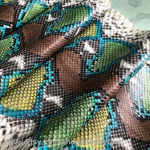 Peut inclure: Gros plan sur une peau de serpent avec un motif d'écailles vertes, bleues et brunes. La peau est pliée à plusieurs endroits, ce qui montre la texture des écailles.