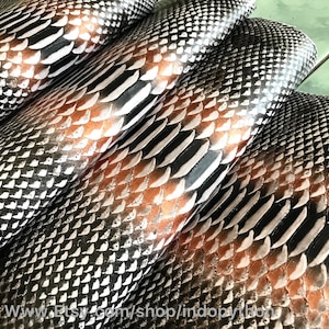 May include: Close-up of several pieces of black and white snakeskin leather with a copper sheen. The leather is arranged in a stack, with the scales visible.