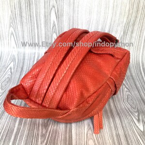 Pu&ograve; includere: Uno zaino in pelle arancione brillante con un motivo a pelle di serpente. Lo zaino ha un manico superiore e spallacci regolabili.