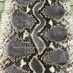 May include: A close-up of a gray and white python skin with a textured pattern. The skin is smooth and shiny.