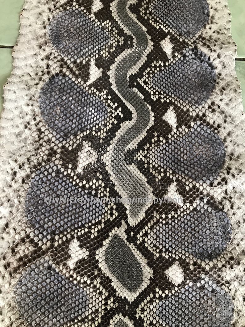 May include: A close-up of a gray and white python skin with a textured pattern. The skin is smooth and shiny.