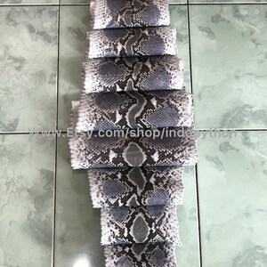 May include: A long strip of light gray and dark gray python skin, folded into several sections. The skin has a distinctive pattern of scales.