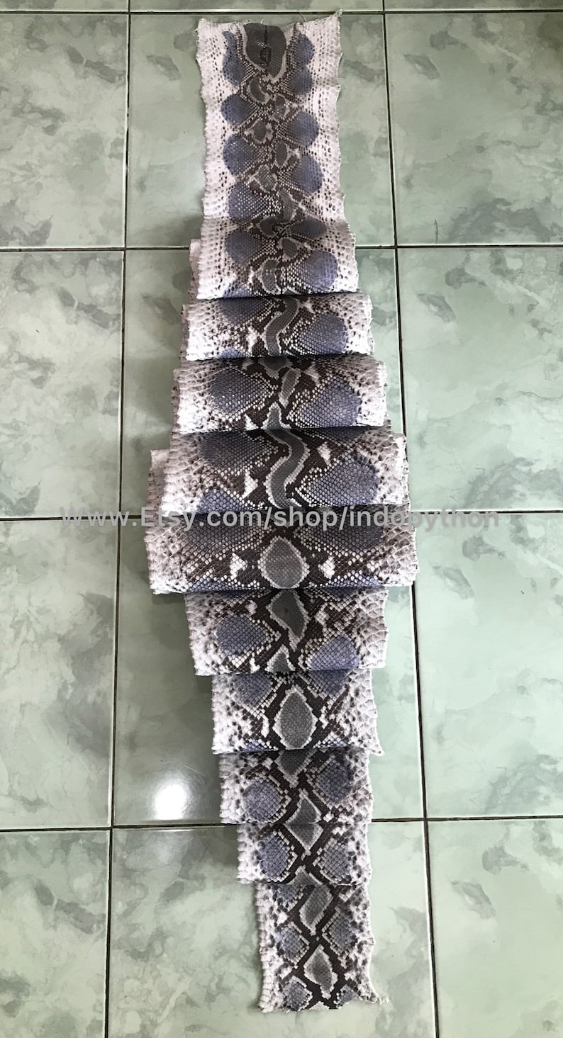 May include: A long strip of light gray and dark gray python skin, folded into several sections. The skin has a distinctive pattern of scales.