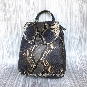 Pu&ograve; includere: Uno zaino piccolo in pelle di serpente nero e marrone con chiusura a lembo e cerniera. Lo zaino ha un manico superiore e spalline regolabili.