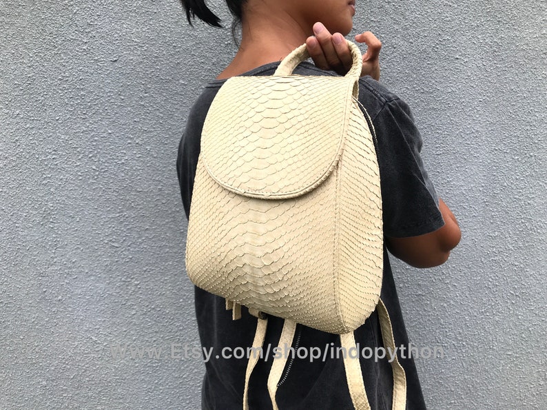 May include: A small, off-white snakeskin backpack with a flap closure and adjustable straps. The backpack is made of genuine python skin and has a unique, textured look.