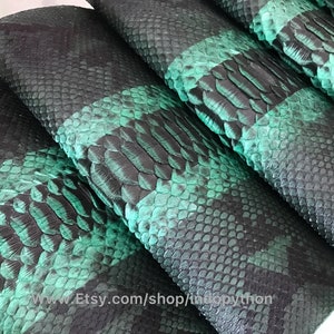 Cuir de python véritable, Cuir de python naturel, Peau de serpent, Peau de serpent verte, Cuir de python vert, Peau verte, Peau de serpent véritable