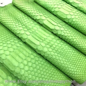Cuir de python véritable, Cuir de python naturel, Peau de serpent, Peau de serpent verte, Cuir de python véritable, Cuir de python vert, Peau verte