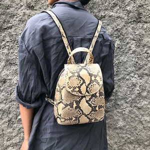 May include: A small, beige and brown snakeskin backpack with black straps. The backpack has a flap closure and a top handle.