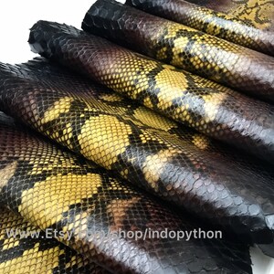 Puede incluir: Primer plano de varias piezas de piel de pitón amarilla y negra. La piel está dispuesta en una pila, con las escamas visibles. La piel es lisa y brillante.