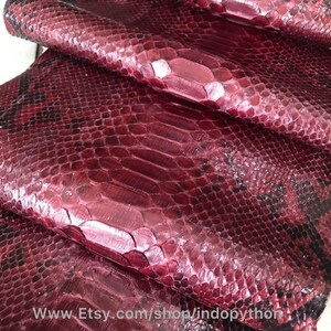 Skóra z bordowego pytona: prawdziwa skóra węża, cięcie z tyłu