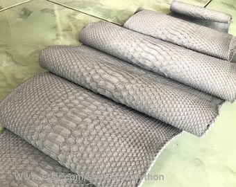 Echtes Grau Python Leder: Weiche Schlangenhaut, Back Cut