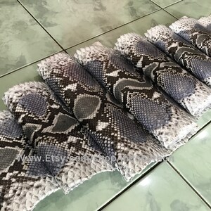 May include: A close-up of several pieces of gray and white snakeskin. The skin is arranged in a row, with the scales visible. The skin is smooth and shiny.