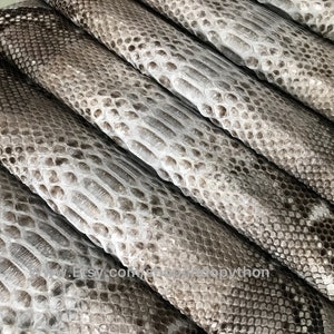 Op de afbeelding: Close-up van verschillende stukken lichtbruine pythonskin. De huid heeft een textuurpatroon en is gestapeld.