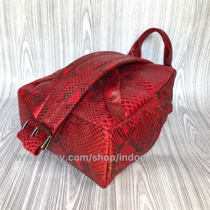 May include: A red snakeskin backpack with adjustable straps. The bag has a flap closure and a small pocket on the front.