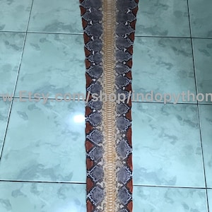 May include: A long snakeskin, featuring a pattern of grey, brown, and tan scales. The skin is displayed on a tiled surface, highlighting its natural texture and colour variations. The Etsy shop name is visible.