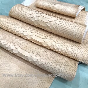 Puede incluir: Varias piezas de piel de serpiente beige claro est&aacute;n dispuestas en una composici&oacute;n en capas. Las escamas son visibles y la textura parece suave. El nombre de la tienda Etsy es visible en la esquina inferior.