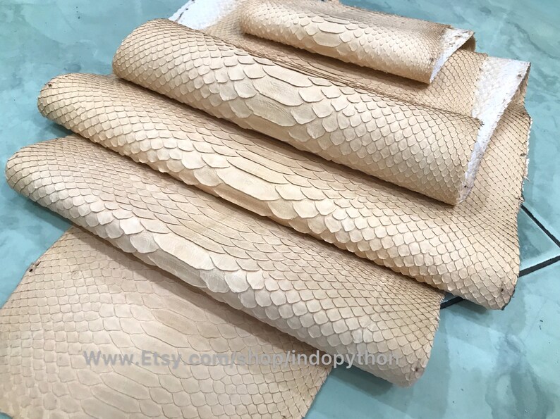 Puede incluir: Varias piezas de piel de serpiente beige claro est&aacute;n dispuestas en una composici&oacute;n en capas. Las escamas son visibles y la textura parece suave. El nombre de la tienda Etsy es visible en la esquina inferior.