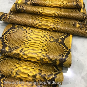 Piel de pitón amarilla genuina: piel de serpiente suave, corte trasero (3-3,5 m)