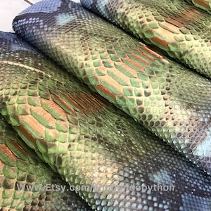 Può includere: Primo piano di diversi pezzi di pelle di serpente verde, blu e marrone. La pelle ha un motivo testurizzato e squamoso. Il testo "www.Etsy.com/shop/Indopython" è visibile nell'angolo in basso a destra dell'immagine.