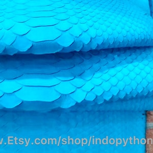 May include: Close-up of a folded piece of bright blue python skin. The scales are visible and the skin is smooth and shiny.