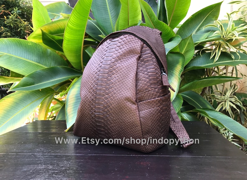 May include: Brown backpack with a snakeskin pattern. The bag has a zippered closure and adjustable straps. The backpack is made of a textured material and is set against a backdrop of green foliage.