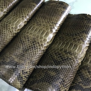 Cuir de python véritable, Cuir de python naturel, Peau de serpent, Peau de serpent vert, Cuir de python vert, Peau verte, Peau de serpent olive