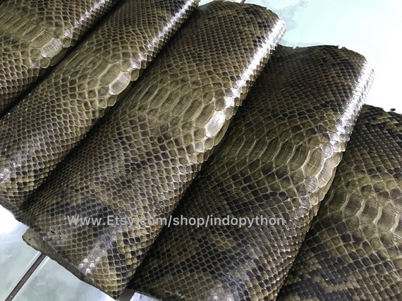 Genuine Python Leather Hide: Olive Green Snakeskin (3-3.5m  display picture 3