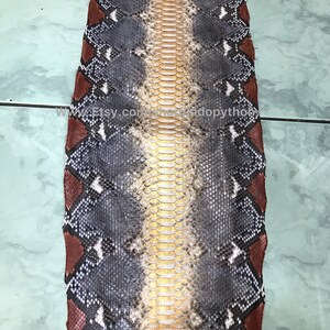 May include: Python skin, featuring a central golden-tan stripe, bordered by grey and black scales. The edges display a reddish-brown diamond pattern. Suitable for crafting or decorative use, the skin is likely measured in centimetres.