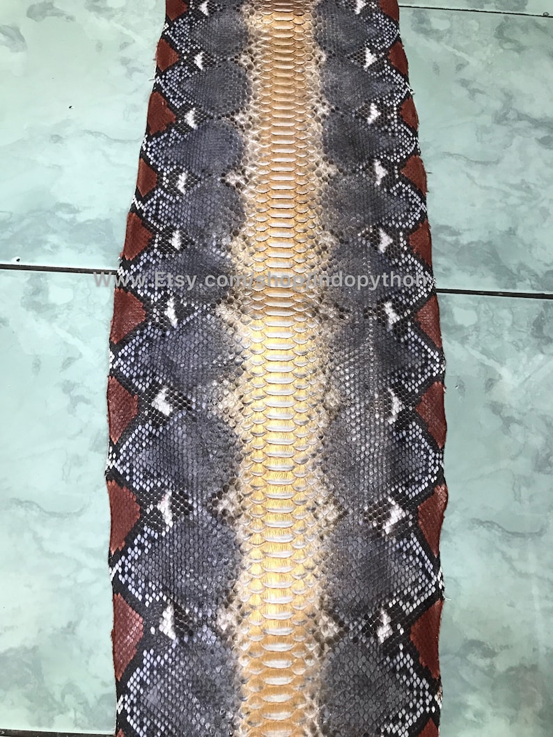 May include: Python skin, featuring a central golden-tan stripe, bordered by grey and black scales. The edges display a reddish-brown diamond pattern. Suitable for crafting or decorative use, the skin is likely measured in centimetres.