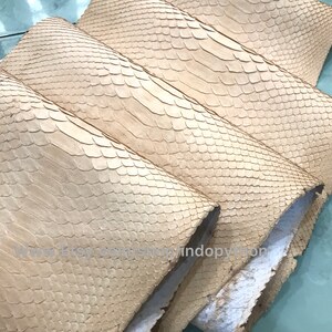 Puede incluir: Primer plano de varios trozos de cuero de piel de serpiente beige. El cuero tiene una textura escamosa y est&aacute; doblado, revelando la parte inferior. Las escamas son peque&ntilde;as y est&aacute;n muy juntas, creando un patr&oacute;n &uacute;nico. El cuero parece natural y sin tratar.