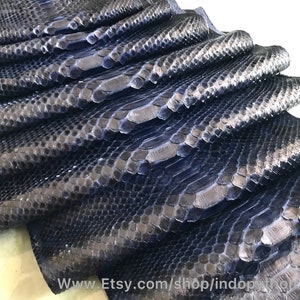 Op de afbeelding: Close-up van een donkerblauwe pythonskin. De huid is gevouwen in een stapel, waardoor de textuur en het patroon van de schubben zichtbaar zijn.