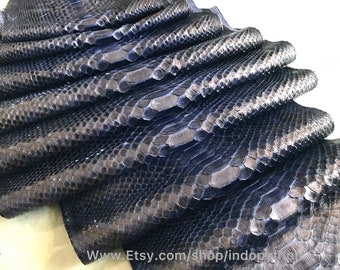 Echte Python Schlangenhaut: Navy blau, Back Cut (3-3,5 m)