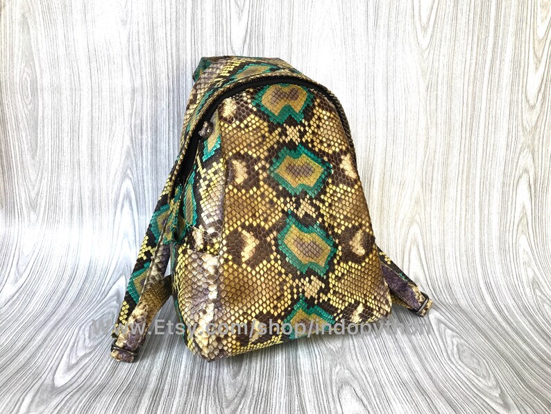 Peut inclure: Un petit sac &agrave; dos en cuir de serpent brun et vert avec une fermeture &eacute;clair. Le sac &agrave; dos a un motif textur&eacute; unique.