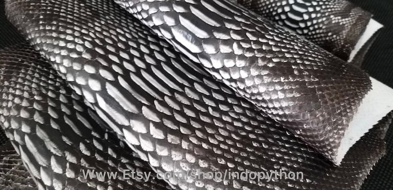 Może przedstawiać: Zbliżenie na kilka kawałk&oacute;w czarnej i białej sk&oacute;ry węża. Sk&oacute;ra ma fakturowany, łuskowaty wz&oacute;r. Tekst "www.Etsy.com/shop/indopython" jest widoczny w prawym dolnym rogu obrazu.