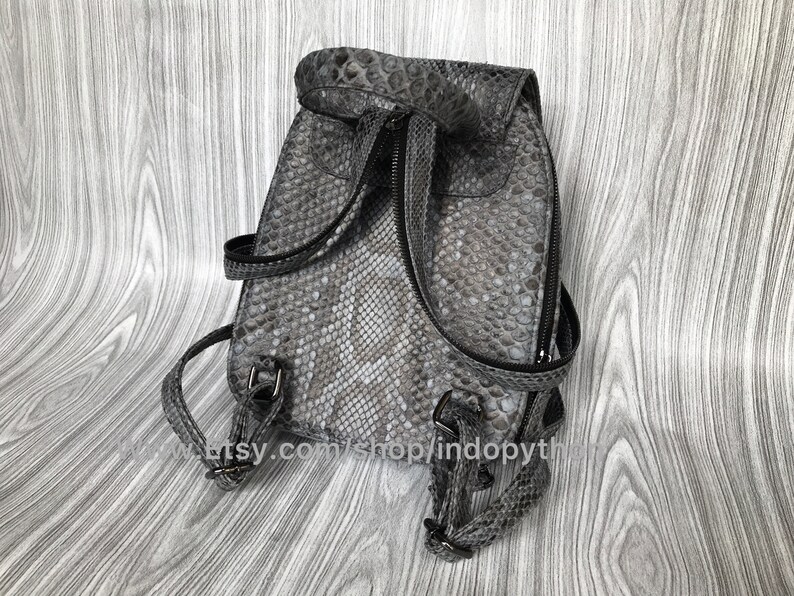 K&ouml;nnte beinhalten: Ein grauer Schlangenleder-Rucksack mit schwarzen Riemen und Beschl&auml;gen. Der Rucksack hat einen Rei&szlig;verschluss und ein kleines Fach auf der Vorderseite.