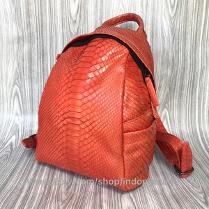 Pu&ograve; includere: Uno zaino arancione brillante in pelle di serpente con tiretti e cinghie nere. Lo zaino ha una chiusura a lembo e una piccola tasca sul davanti.