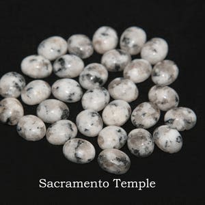Sacramento California Temple Stone - Display Only (Not for sale)