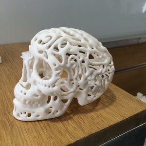 Pu&ograve; includere: Un teschio bianco stampato in 3D con un design dettagliato, intricato e in pizzo.