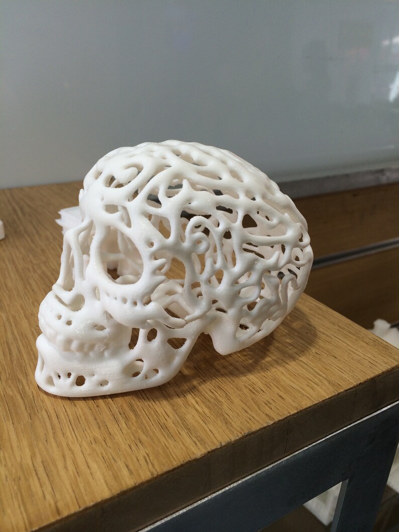 Pu&ograve; includere: Un teschio bianco stampato in 3D con un design dettagliato, intricato e in pizzo.
