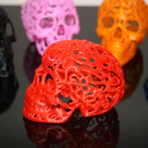 Pu&ograve; includere: Cinque teschi stampati in 3D in diversi colori, tra cui nero, rosa, arancione, rosso e blu. I teschi sono tutti finemente progettati con un motivo a pizzo.