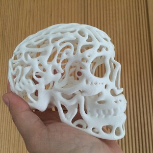 Pu&ograve; includere: Un teschio bianco stampato in 3D con un design dettagliato, intricato e traforato. Il teschio &egrave; vuoto e presenta un design delicato e intricato.